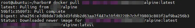 Docker安装和Harbor高可用部署-元一软件